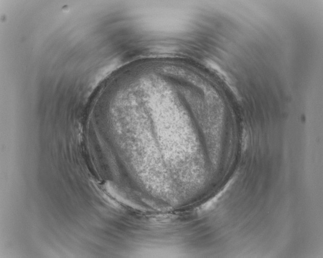 X0000089381449200707061127