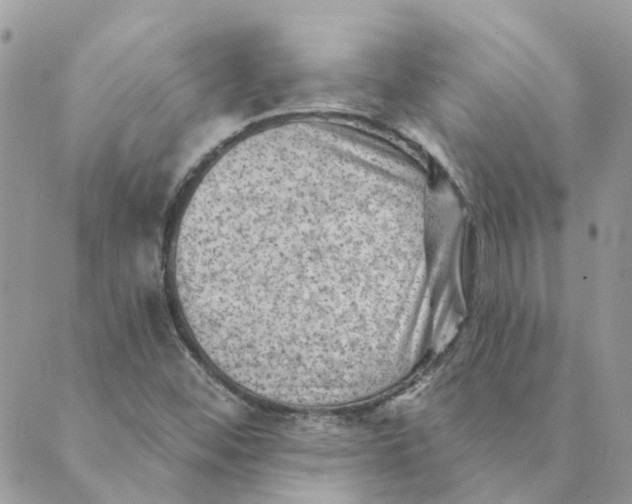 X0000089381452200707061127