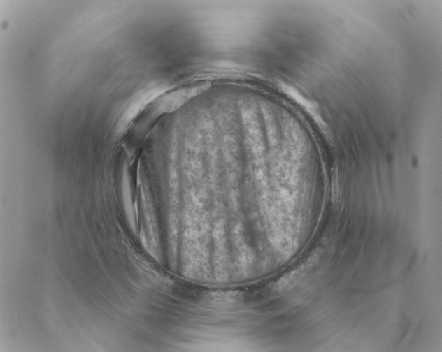 X0000089381453200707061127