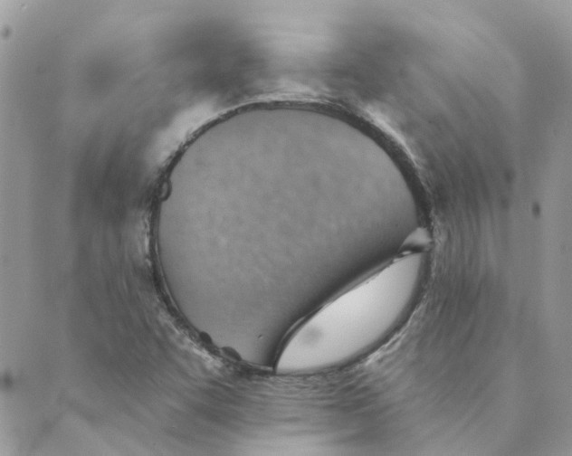 X0000089381455200707061127