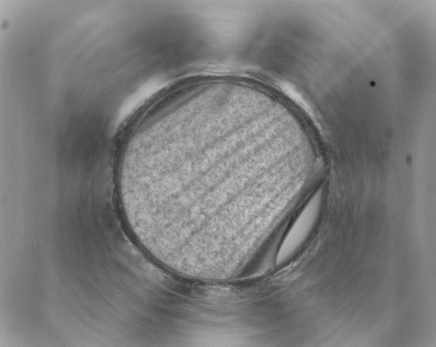 X0000089381456200707061127