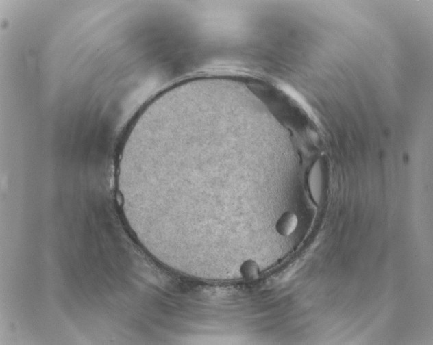 X0000089381461200707061127