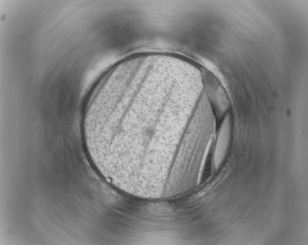 X0000089381464200707061127