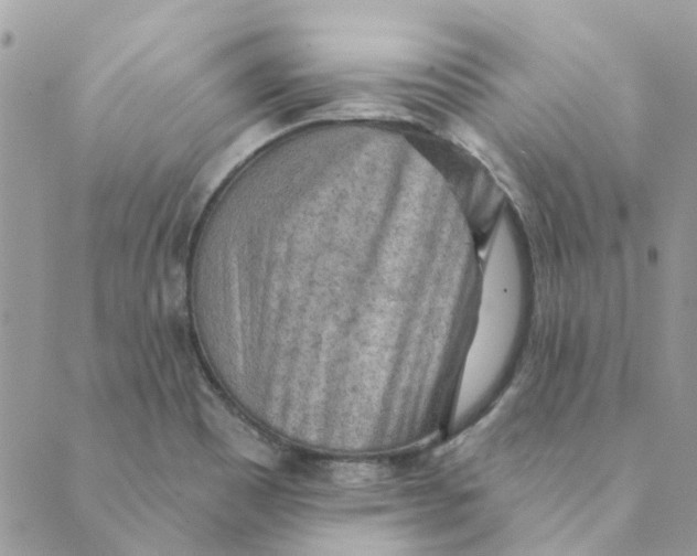 X0000089381465200707061127