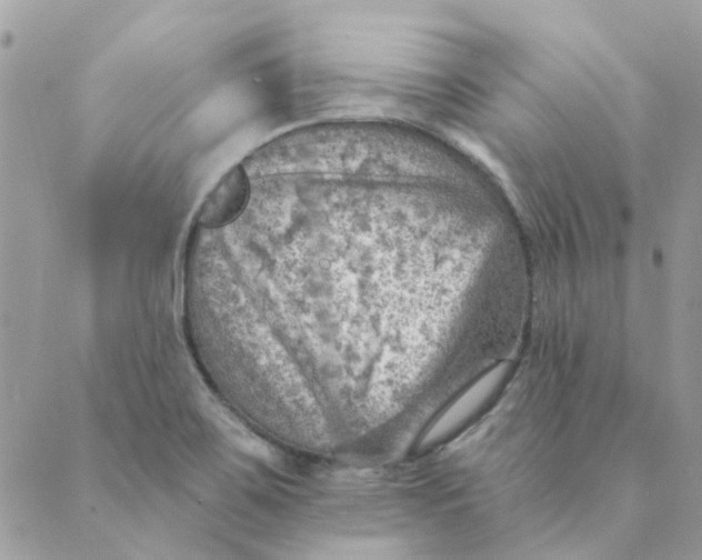 X0000089381467200707061127