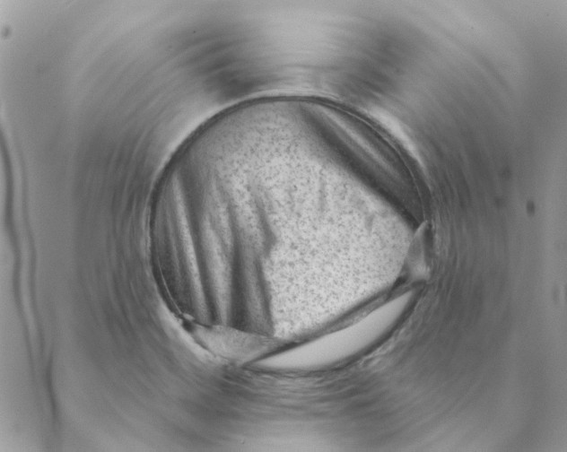 X0000089381468200707061127