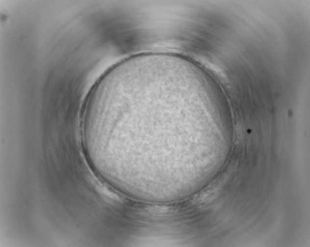 X0000089381470200707061127