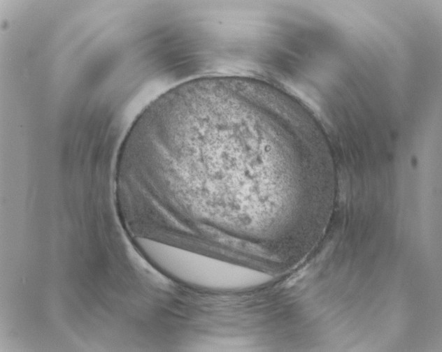 X0000089381471200707061127