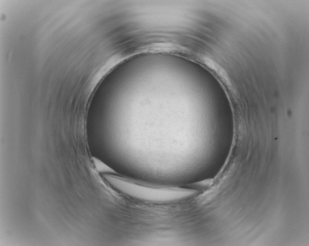 X0000089381473200707061127