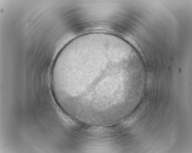 X0000089381474200707061127