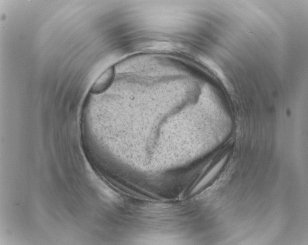 X0000089381475200707061127