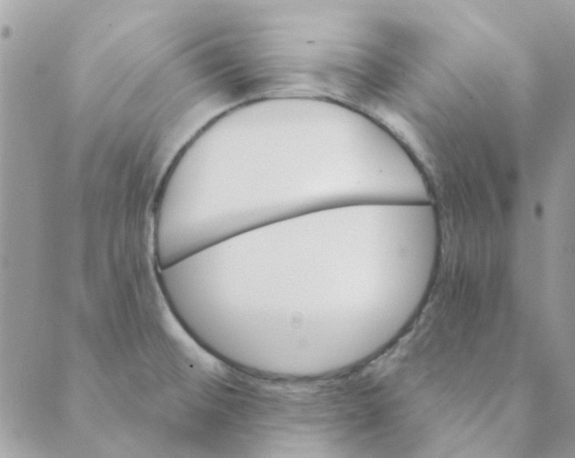 X0000089381476200707061127