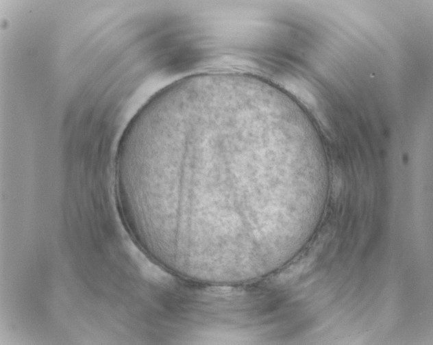 X0000089381478200707061127