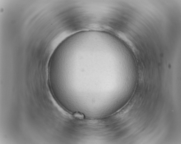 X0000089381479200707061127