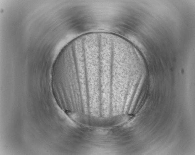 X0000089381480200707061127