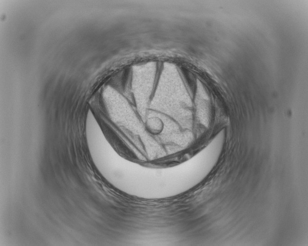 X0000089381492200707061126