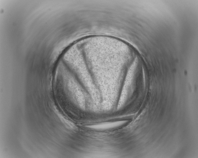 X0000089381507200707061126