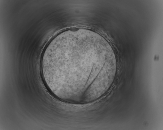 X0000089380002200707131708