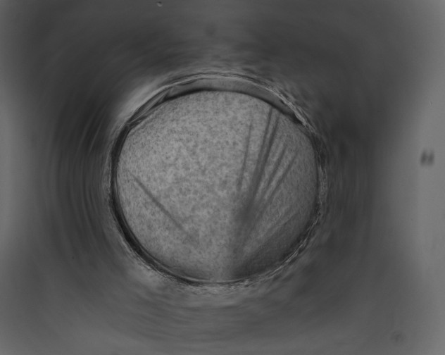 X0000089380005200707131708