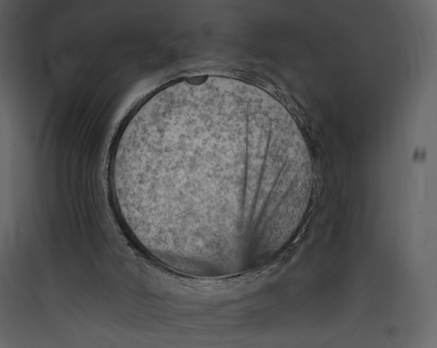 X0000089380006200707131708