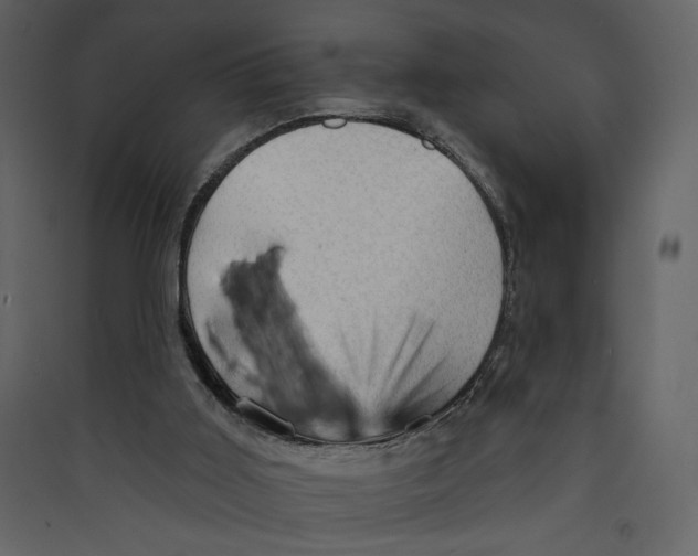 X0000089380011200707131708