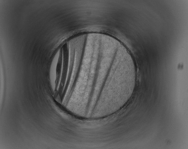 X0000089380013200707131708