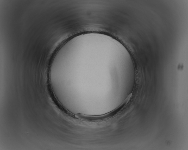 X0000089380015200707131708