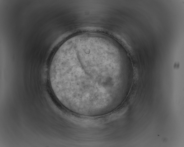 X0000089380016200707131708