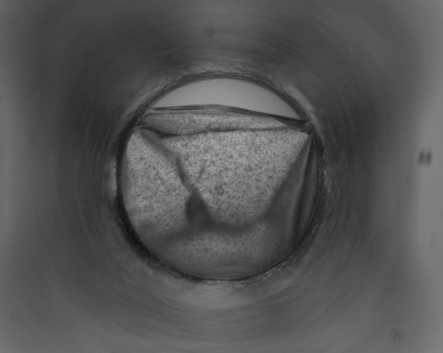 X0000089380020200707131708