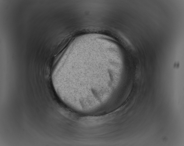 X0000089380025200707131708