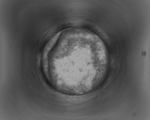 X0000089380026200707131708