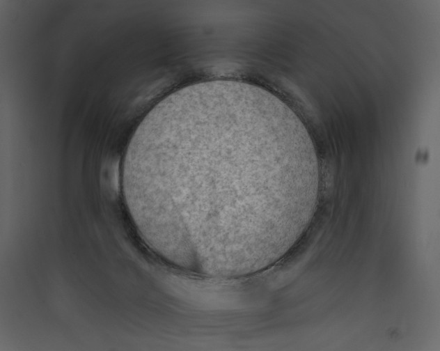 X0000089380028200707131708