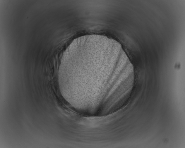 X0000089380033200707131708