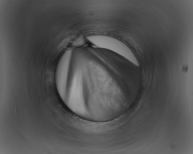 X0000089380035200707131708