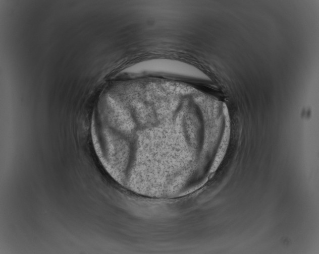 X0000089380040200707131708