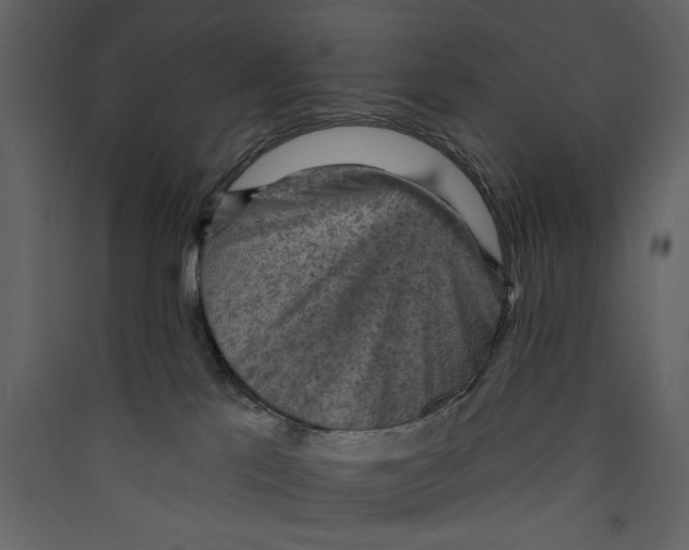 X0000089380041200707131707