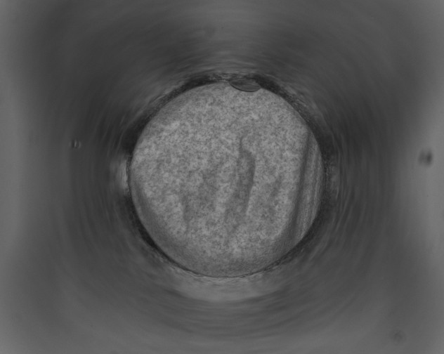 X0000089380042200707131707