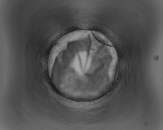 X0000089380043200707131707