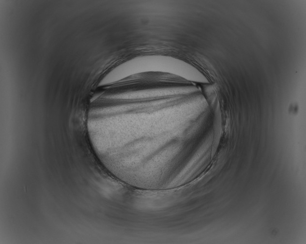 X0000089380045200707131707