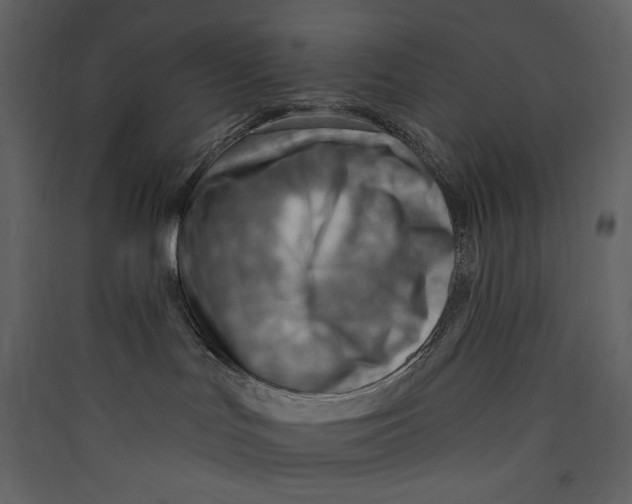 X0000089380047200707131707