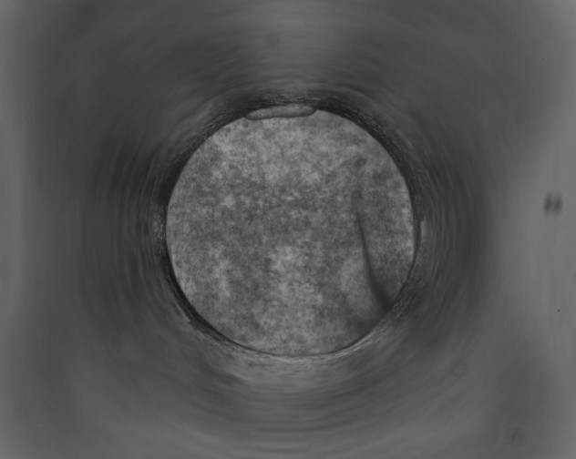 X0000089380048200707131707