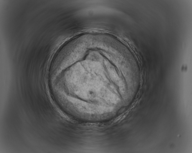 X0000089380049200707131707