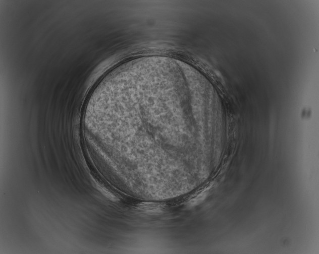 X0000089380051200707131707