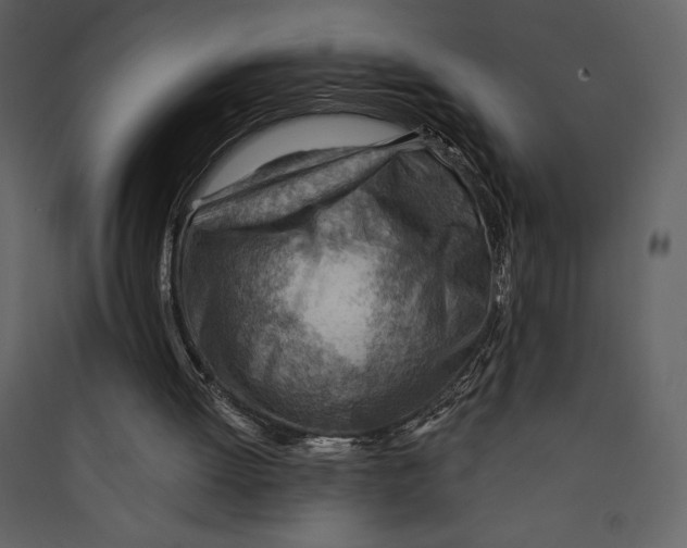 X0000089380052200707131707