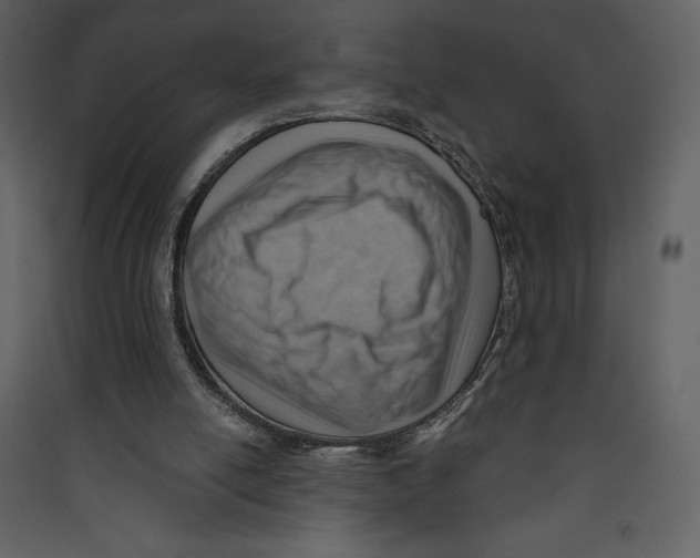 X0000089380054200707131707