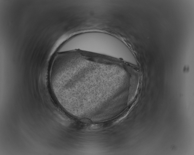 X0000089380056200707131707