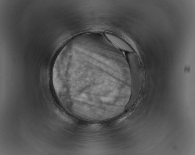 X0000089380059200707131707