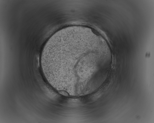 X0000089380061200707131707