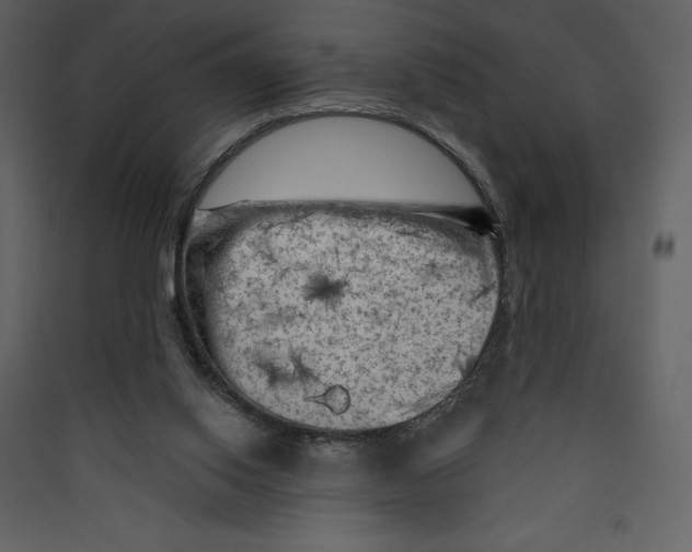 X0000089380062200707131707