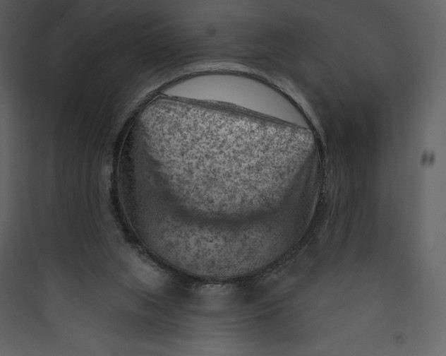 X0000089380063200707131707